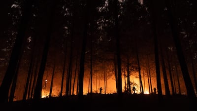 Residents battle a wildfire in the town of Florida, in Concepción province, Chile. AFP