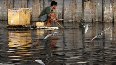 A Filipino living near the vicinity of the Association of South East Asian Nations (ASEAN) Summit venue collects recyclable materials in Paranaque City, south of Manila, Philippines. EPA