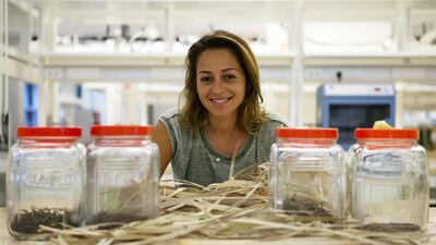 Lina Yousef, assistant professor of chemical and environmental engineering at the Masdar Institute in Abu Dhabi. Christopher Pike / The National
