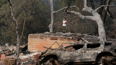 A woman looks over burnt remains of her parents' home destroyed by wildfire in Napa, California on October 13, 2017. Jim Urquhart / Reuters