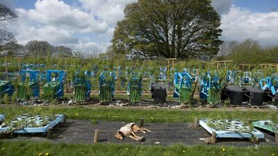 Early experiences got Mr Munro’s mind racing about what he could do with trees. Mr Munro's mother had an overgrown bonsai which looked like a throne, while a bad back as a youngster meant his spine was broken and reset in hospital. “That got me thinking about grafting and how things stick together,” he said. AFP