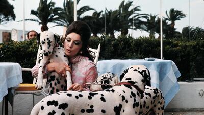 The Italian actress with her four Dalmatian dogs at Hotel Carlton in Cannes in 1972. AFP