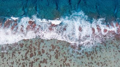 A reef on the East beach of the island. Iain McGregor/STUFF