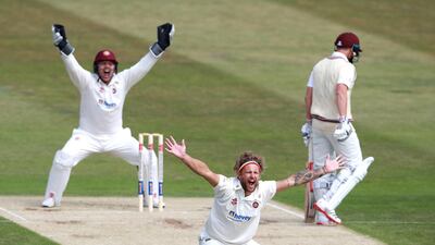 Gareth Berg of Northamptonshire appeals as he takes the wicket of James Hildreth LBW during Day 2 of the Bob Willis Trophy match between Northamptonshire and Somerset at The County Ground in Northampton, England. Getty Images
