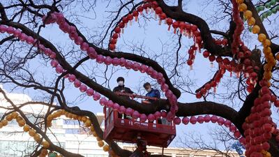 Workers prepare to arrange lanterns on a tree to celebrate the upcoming New Year at the Jogyesa Buddhist temple in Seoul, South Korea. AP Photo