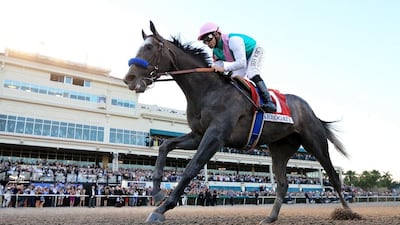 Arrogate crosses the finish line to win the $12 Million Pegasus World Cup Invitational at Gulfstream Park on January 28, 2017 in Hallandale, Florida. Mike Ehrmann / Getty Images