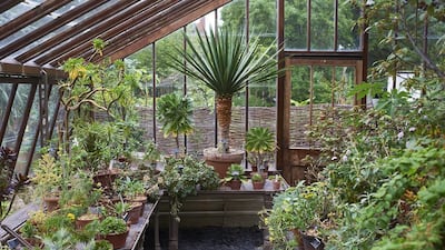 A glasshouse at the Chelsea Physic Garden. Courtesy Charlie Hopkinson