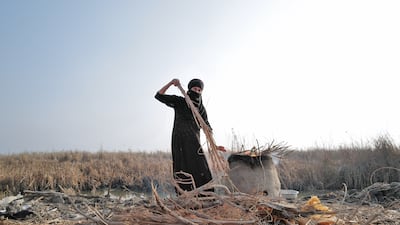 Fuel for the oven is gathered from the surrounding countryside