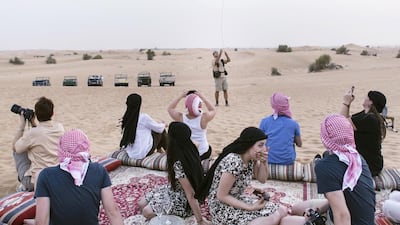 Visitors watch Werner Calitz, a falconer at Platinum Heritage Tours. Some tourism experts would like to see more Emiratis working in the industry. Reem Mohammed / The National