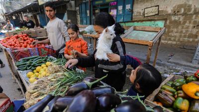 A Palestinian girl goes shopping with her cat in Rafah, southern Gaza. Getty Images