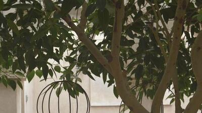 Courtesy Alliance Francaise Dubai