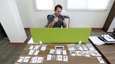 Paluch examines some of the thousands of colourful pieces of chinese porcelain in the RAK antiquities department