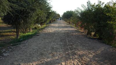 Wide open spaces offer animals at the Bahya sancutary in Bahya plenty of room to run in the wild or chew on grass and other greens. Delores Johnson / The National