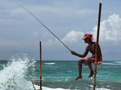 A fisherman waits patiently for a school of fish to swim by. Taniya Dutta / The National
