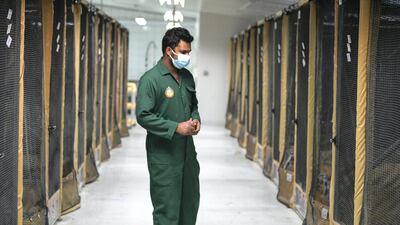 A staff member at National Avian Research Centre checks on the houbaras. Khushnum Bhandari for The National