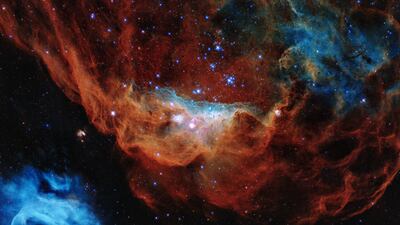 This image features the enormous nebula NDC 2014 and its neighbour NGC 2020, which together form part of a vast star-forming region in the Large Magellanic Cloud in the Milky Way, about 163,000 light years away. Captured by the Hubble telescope, it shows turbulent stellar nurseries, where new stars are born. Photo: European Space Agency
