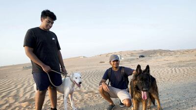 Volunteers come to walk the dogs at the Stray Dog Centre.