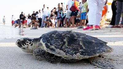 Readers discuss National Day, turtles, bullies and fireworks. Photo: Pawan Singh / The National