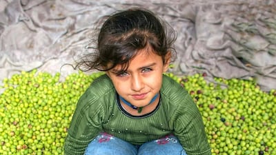 Rodi, Syria: In the Syrian town of ‘Afreen, Rodi captured an image of a young Syrian girl amidst a scenic array of green olives during the olive harvesting season, before it is ultimately sold in the local market.