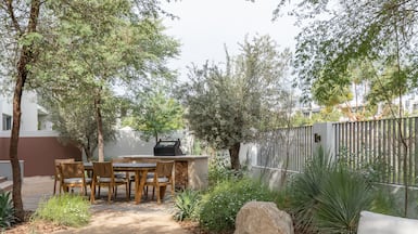 Choose plants that are native to the UAE and used to the arid climate. Photo: Wilden Design