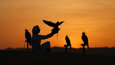 An Emirati from the Qubaisi tribe trains falcons during the Liwa Moreeb Dune Festival.