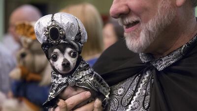 A costumed pet and his owner attend the 2014 New York Pet Fashion Show. Eric Thayer / Reuters