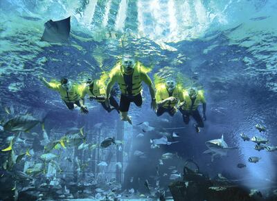 Aquamania Summer Camp. Courtesy Atlantis The Palm