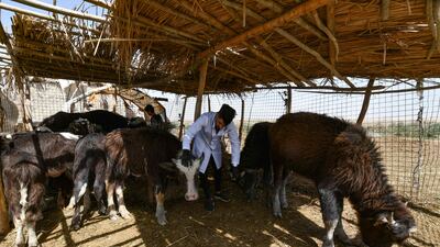 The UN classifies Iraq "as the fifth most vulnerable country in the world" to climate change.