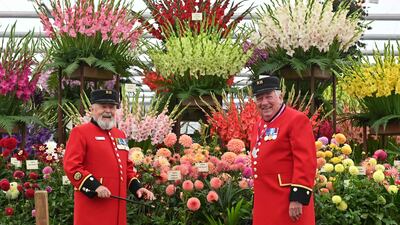 Chelsea pensioners pose by an arrangement of flowers during the 2021 RHS Chelsea Flower Show in London on September 19, 2021. - The Chelsea flower show is held annually in the grounds of the Royal Hospital Chelsea. (Photo by JUSTIN TALLIS / AFP)