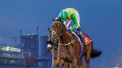 Oscar Chavez and Military Law clinch the Maktoum Classic at Meydan on Super Saturday. Photo: Dubai Racing Club