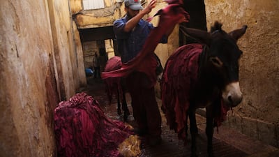 Donkeys are targeted for their skins, which are used in alternative medicine. Nicole Hill / The National