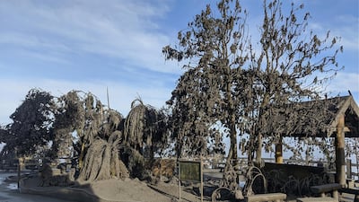 Ashfall after the eruption of the Taal volcano is seen in Tagaytay City, Cavite. Reuters