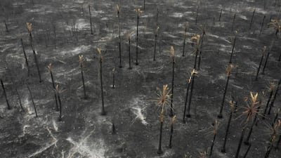 TOPSHOT - Aerial view of damage caused by wildfires in Otuquis National Park, in the Pantanal ecoregion of southeastern Bolivia, on August 26, 2019. Like his far right rival President Jair Bolsonaro in neigboring Brazil, Bolivia's leftist leader Evo Morales is facing mounting fury from environmental groups over voracious wildfires in his own country. While the Amazon blazes have attracted worldwide attention, the blazes in Bolivia have raged largely unchecked over the past month, devastating more than 9,500 square kilometers (3,600 square miles) of forest and grassland. / AFP / Pablo COZZAGLIO