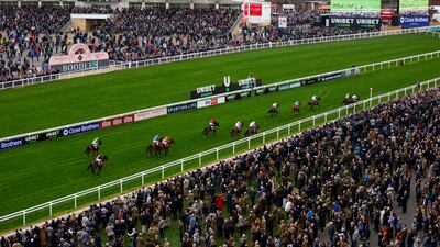 Racegoers watch the runners and riders in action as Brazil and jockey Mark Walsh win the Juvenile Handicap Hurdle. PA