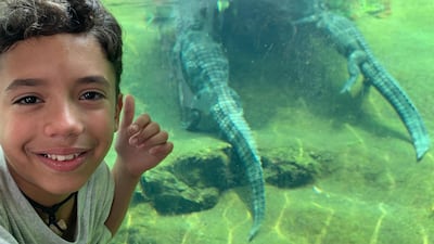 Mario at Ocean Park Hong Kong, a marine mammal park. Courtesy: Nani Montero