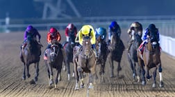 Meydaan winning the Al Maktoum Classic on dirt at Meydan Racecourse. Photo: Dubai Racing Club