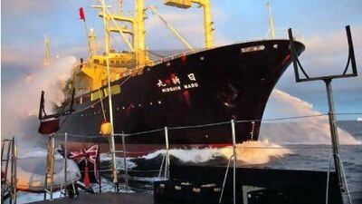 The Japanese whaling ship Nissin Maru approaches Sea Shepherd's high-speed trimaran Gojira while using water cannons. A reader supports the anti-whaling activists in the Sea Shepherd Conservation Society. Simon Ager / AP