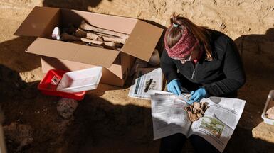 Volunteers work on the first phase of exhuming victims of repression during the Spanish Civil War and the Franco regime at the mass grave expected to contain up to 150 bodies, in Ejea de los Caballeros, Zaragoza Province. AFP