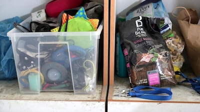 Michelle Francis runs Animals and Us Fujairah in her spare time and has rescued hundreds of animals over the past 17 years.