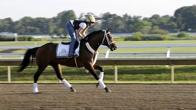 Top Clearance with Calamity Compton up trains at Monmouth Park in Oceanport, New Jersey, in August. The horse will be in action during the Dubai World Cup Carnival. Mel Evans / AP Photo