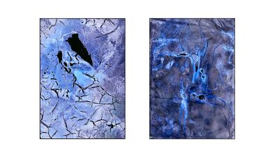 Lara Tabet, Nitrate 001, Nitrate 002, 2023. Photo: Lara Tabet