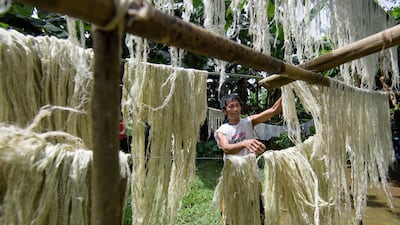 5. Drying of the fibres.