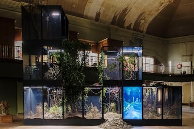Ugo Schiavi's 'Grafted Memory System' (2022), the centrepiece installation for the Lyon Biennale at the Musee Guimet. Photo: Lyon Biennale