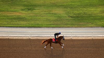 Morning track work ahead of the Dubai World Cup. Meydan has a 2,400-metre turf track and a 2,000m dirt course. Getty Images
