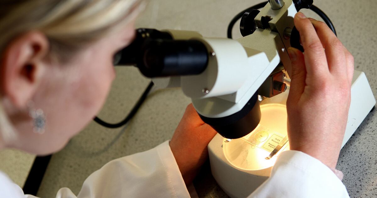 Abu Dhabi testet neue Krebsbehandlung, um die Chemotherapie zu ...