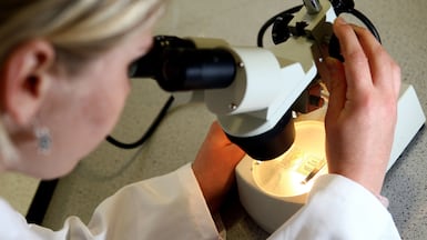 Abu Dhabi is working with a leading US biotechnology company to trial a cancer treatment. Press Association