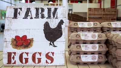 Organic fresh farm eggs at the EBF store.