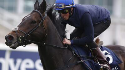 William Buick riding Jack Hobbs during the 'Breakfast With The Stars' morning at Epsom racecourse on May 26, 2015 in Epsom, England. Alan Crowhurst / Getty Images