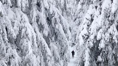 A cross country skier moves through the snow covered landscape in the Thuringian Forest in Oberhof, Germany. AP Photo