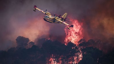 A French Canadair firefighting plane flies over a burning forest near Cotignac, south-eastern France. AFP
